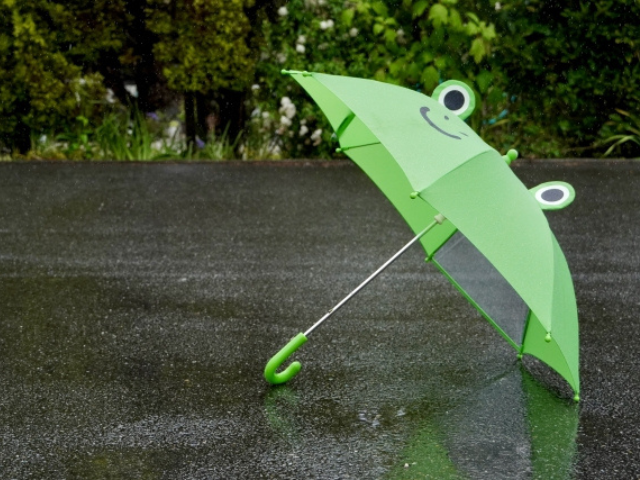 雨の中にカエルの傘