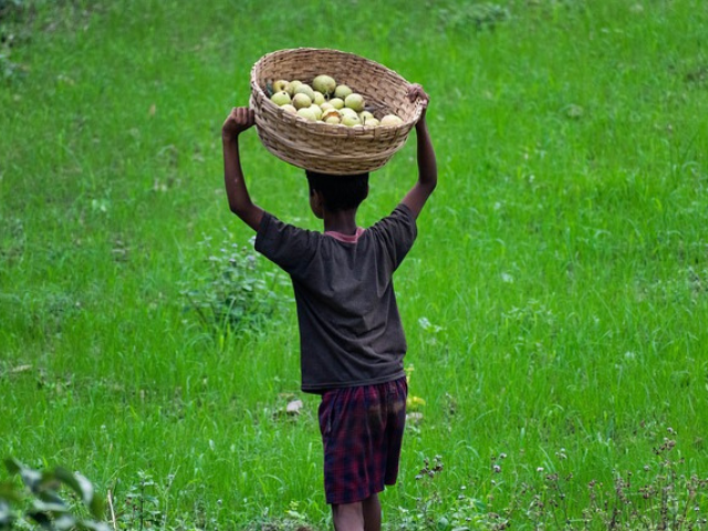 頭にカゴを乗せて果物を運ぶ少年