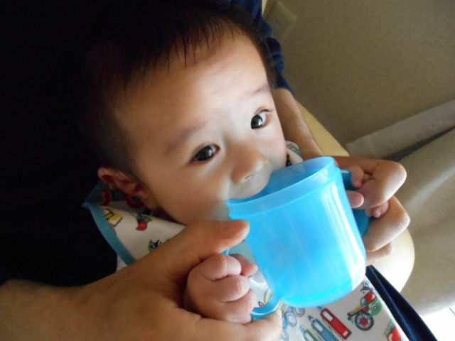 コップで水を飲む赤ちゃん